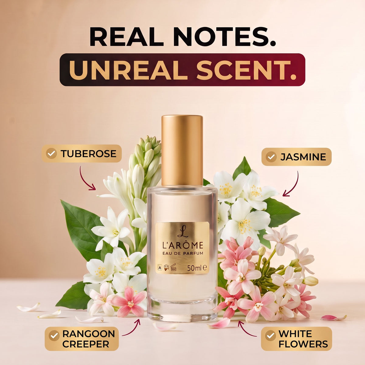 lx-template-v1 | lx-deck6 | 02 Real notes unreal scent