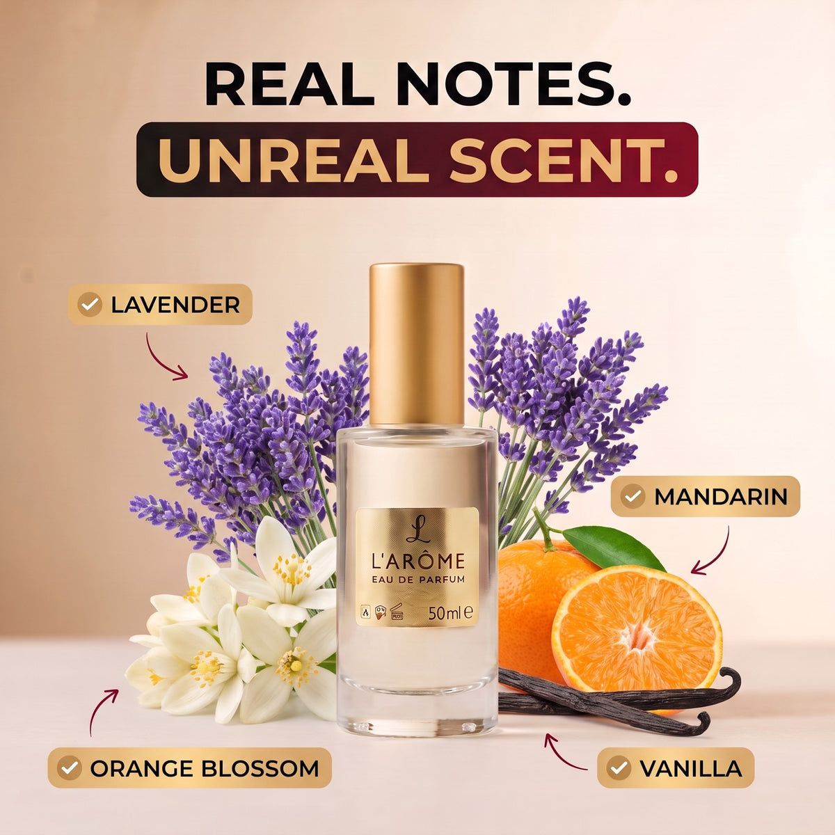 lx-template-v1 | lx-deck6 | 02 Real notes unreal scent