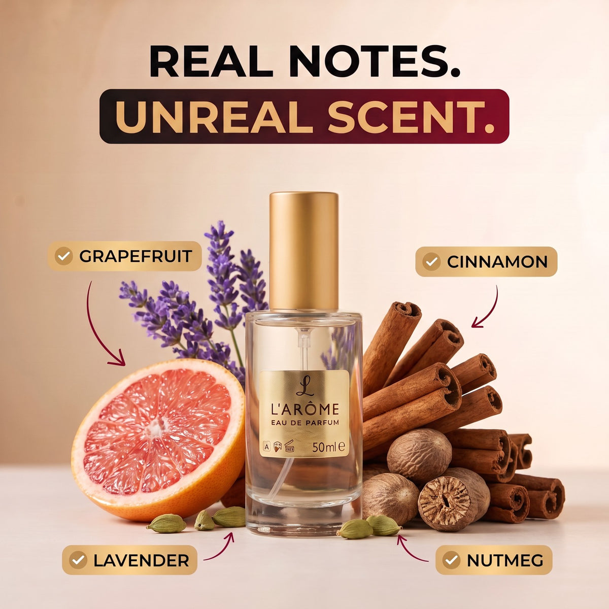 lx-template-v1 | lx-deck6 | 02 Real notes unreal scent